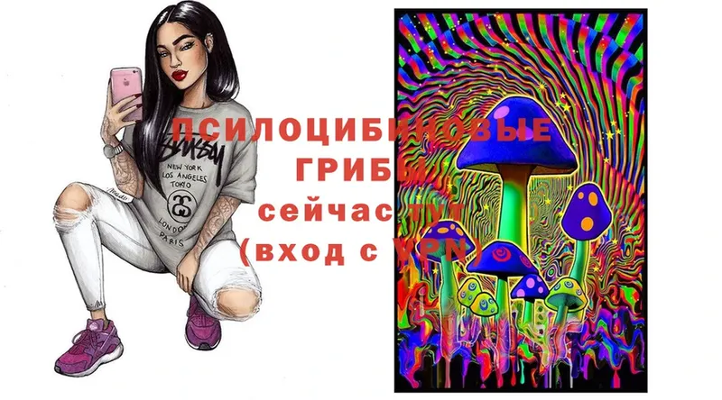 мега онион  Ухта  Галлюциногенные грибы Cubensis 